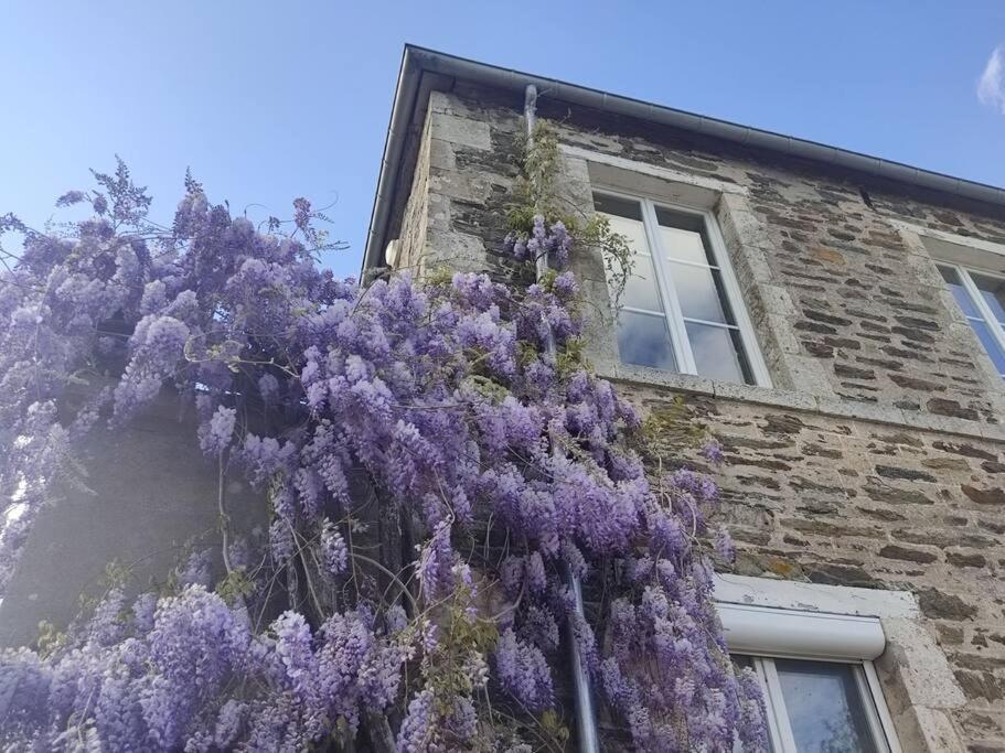 Le Vulcain Apartment Le Hommet-d'Arthenay Exterior foto